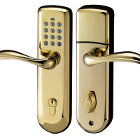 smart door lock in gold